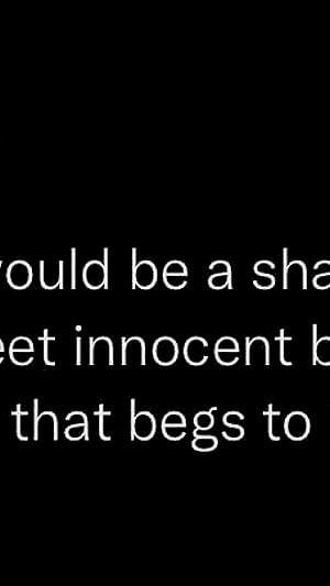 An Absolute Shame It Would Be... But Here We Are